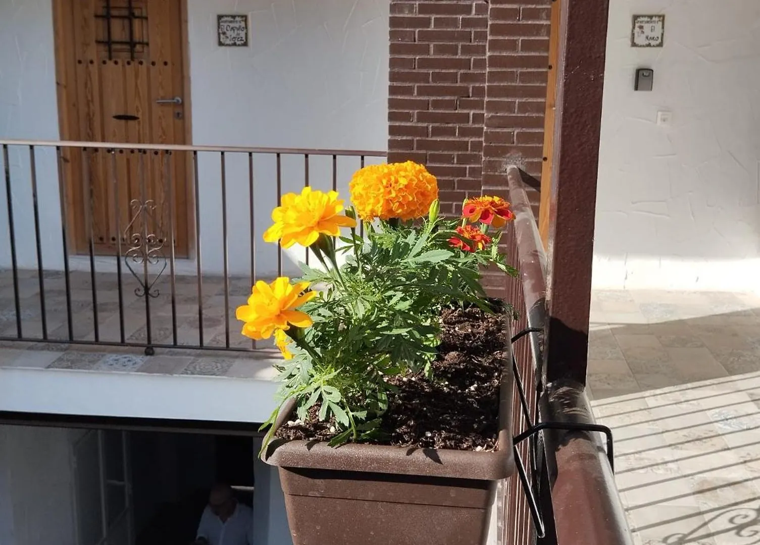 Apartamento Suite San Mateos 15 Jerez de la Frontera